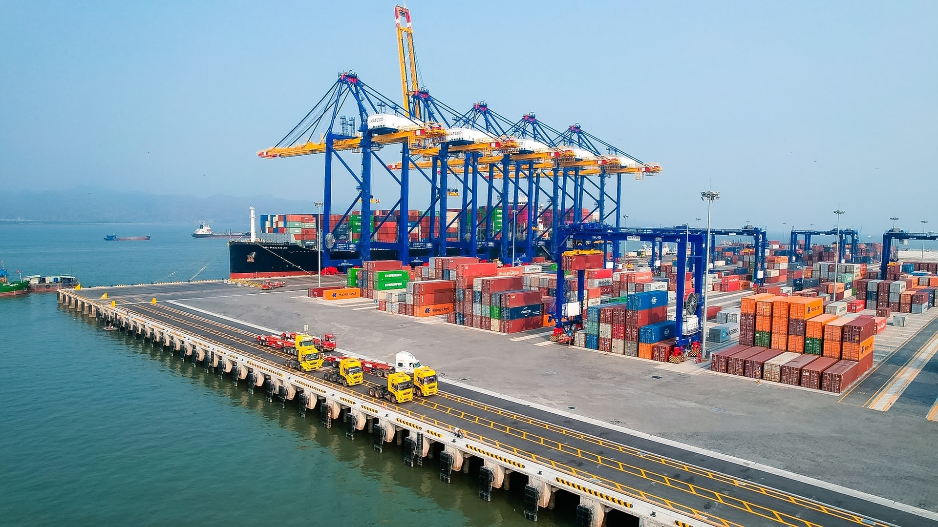 Customs services